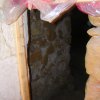 Madrice e dintorni (55) (Copia)